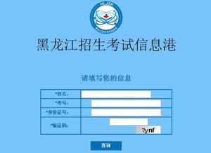 毕业生招考优化怎样助力 SEO？实操技巧大揭秘！
