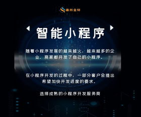 北京网站优化：提升排名的方法及速排名风险解析